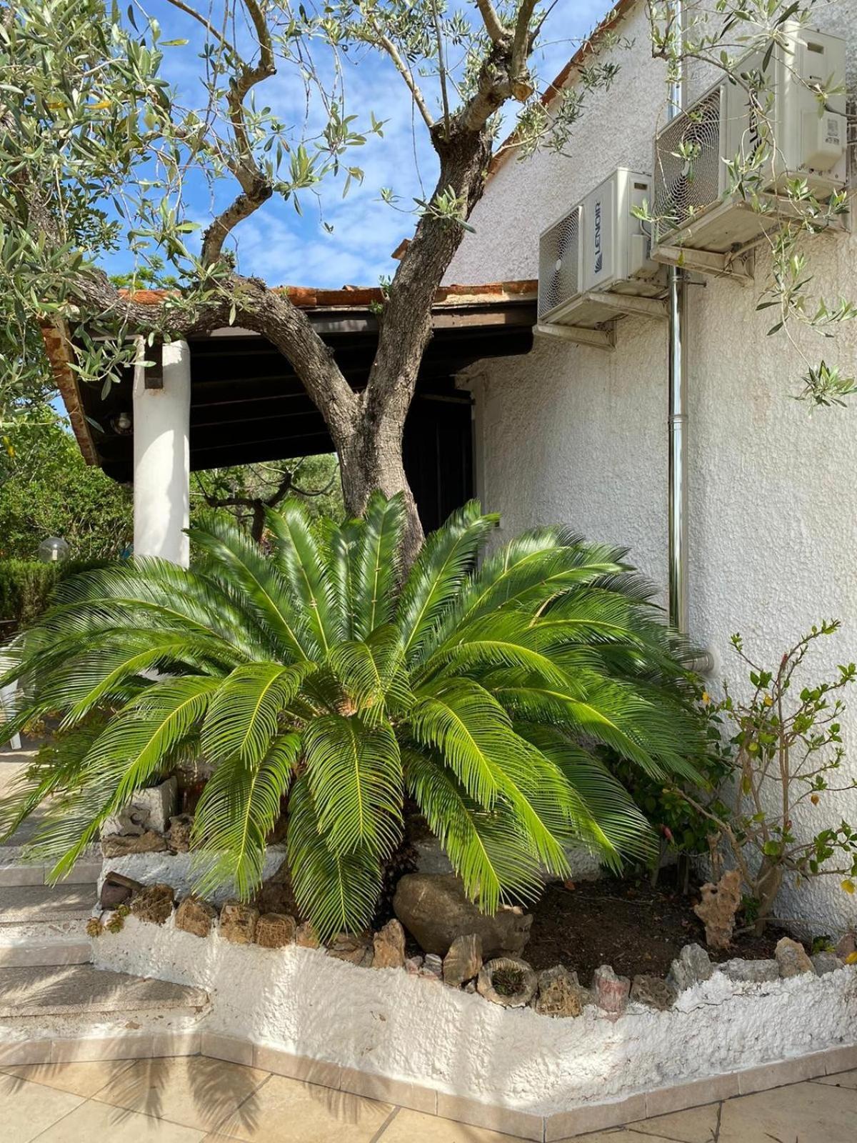 Domo Angheleda - Casa Indipendente Vicino Al Mare Alghero
