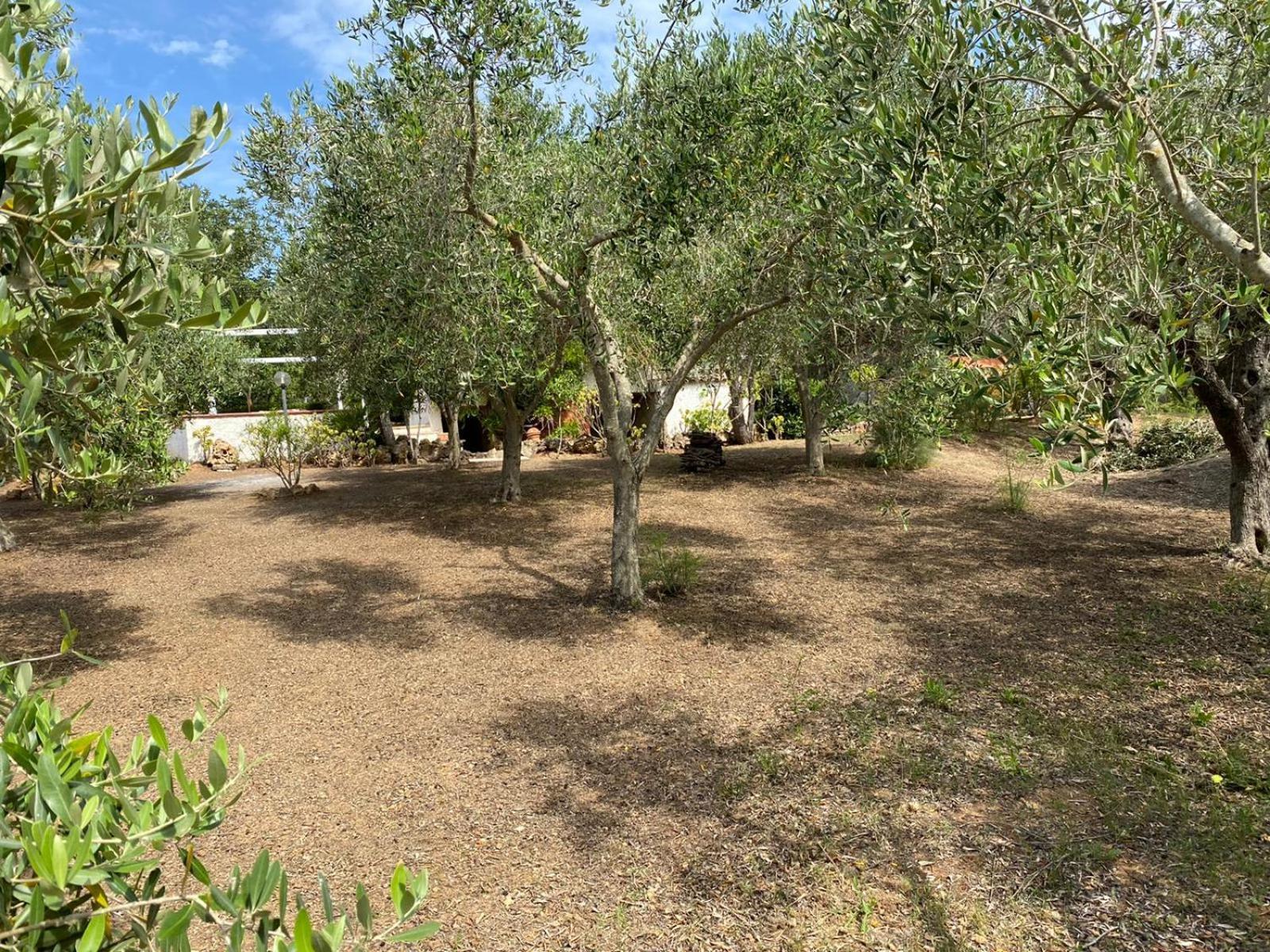 Vakantiehuis Domo Angheleda - Casa Indipendente Vicino Al Mare